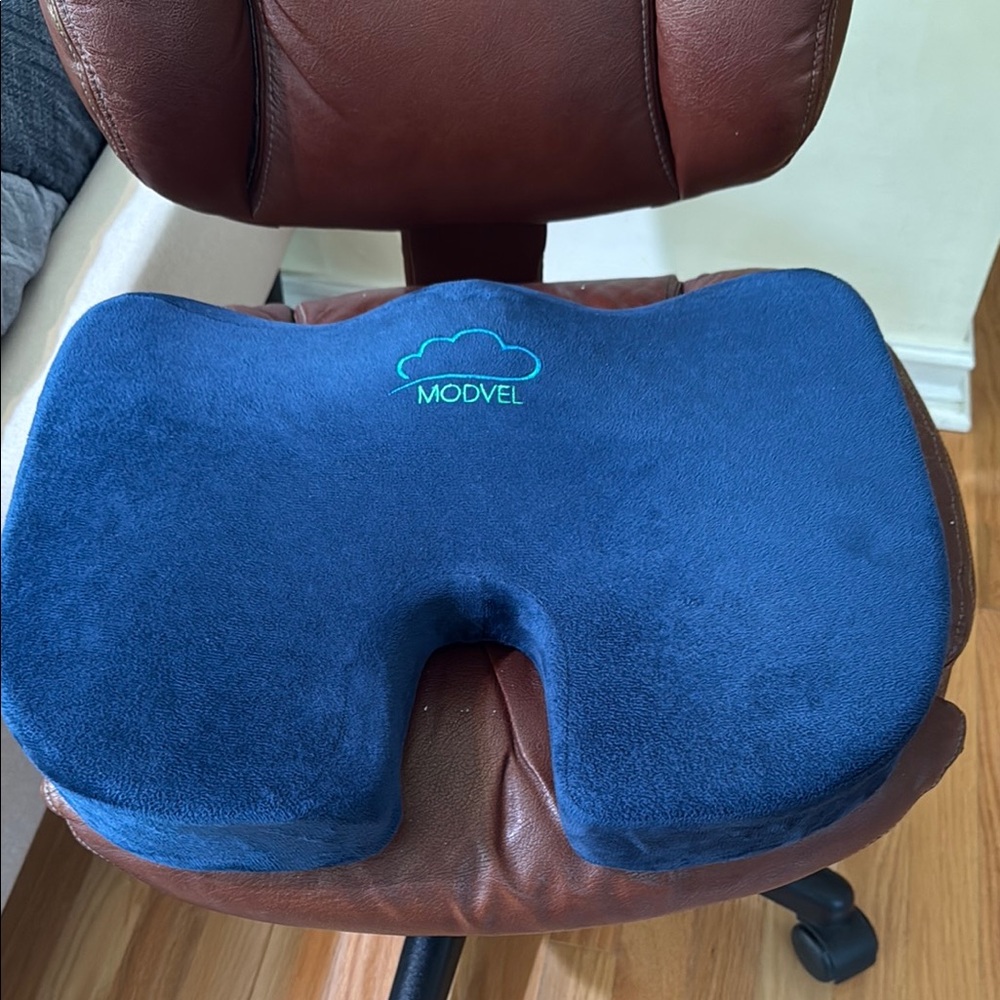 Blue Seat Cushion